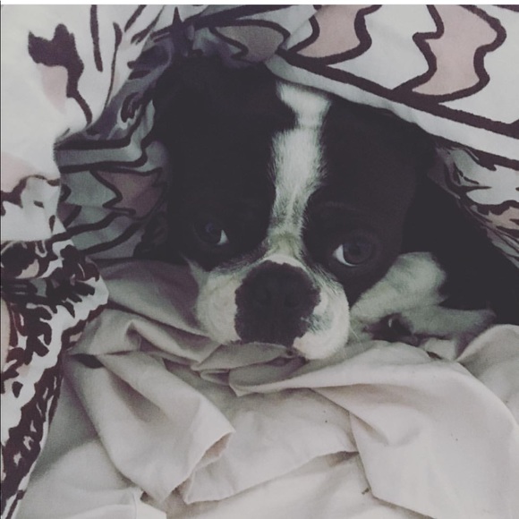 💋MEET YOUR SELLER/BUYER/DESIGNER 💋 - Picture 6 of 8